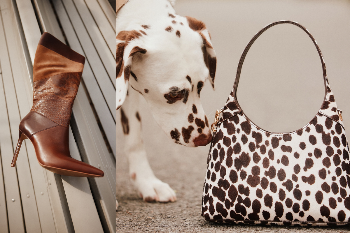 Collections/Animal Print Shoes & Handbags