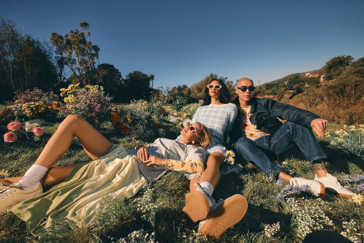 Collections/Wildflowers