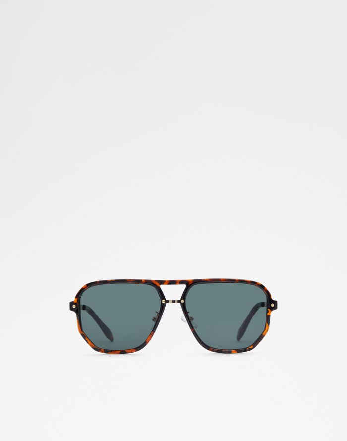 Aldo Men's Sunglasses Bards Brown