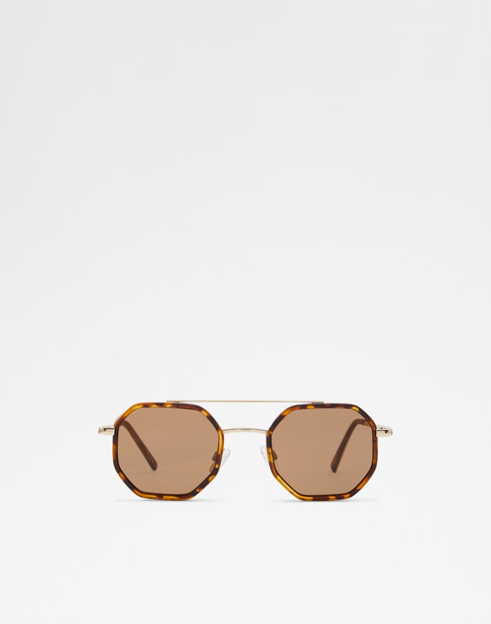 Aldo Men's Sunglasses Cilid Brown