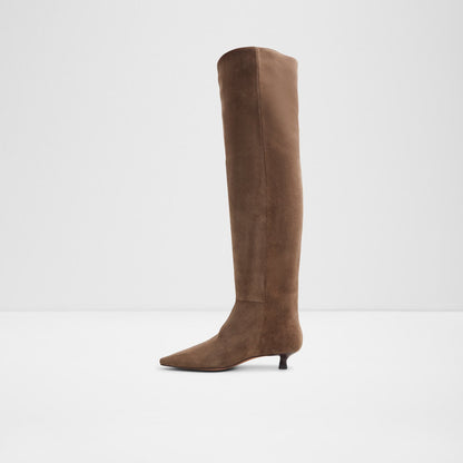 Aldo Women's Knee-High Boots Muttsee Brown