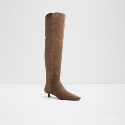 Aldo Women's Knee-High Boots Muttsee Brown