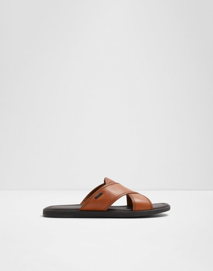 Aldo Men's Flat Sandals Olino