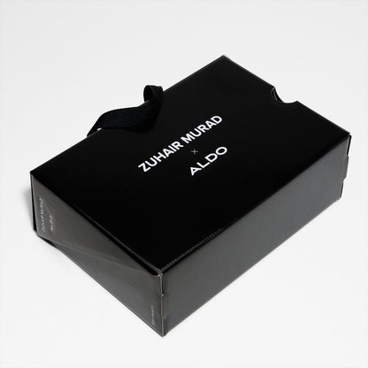 Zm-Aldo-02