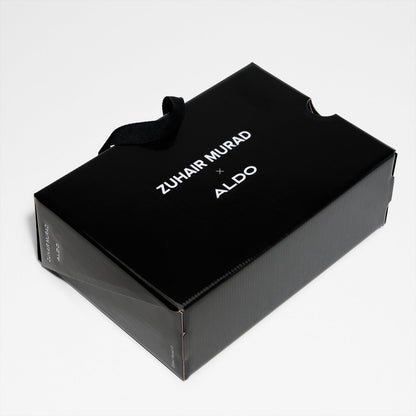 Zm-Aldo-02