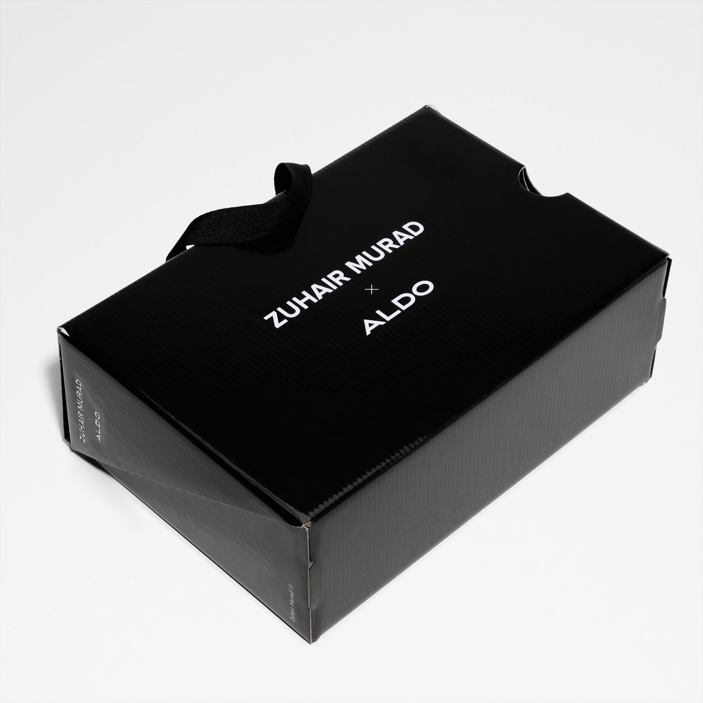 Zm-Aldo-02
