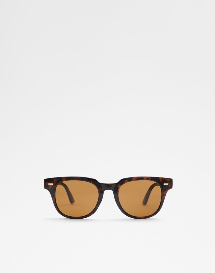 Aldo Men's Sunglasses Nydigow Brown