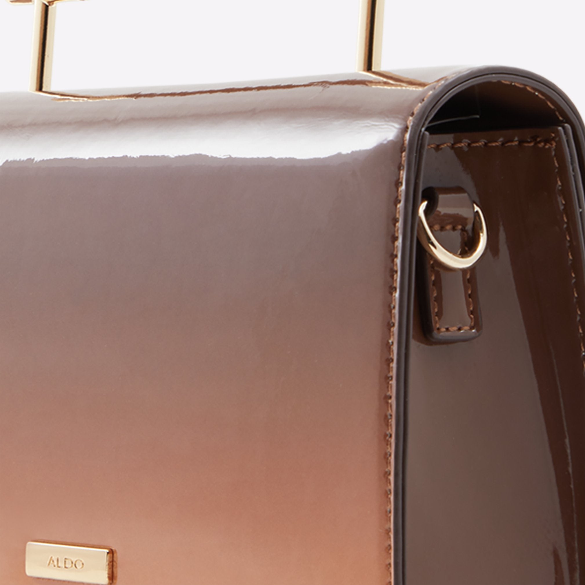 Aldo Women's Handbag Ybesa (Brown Multi) ALDO UK